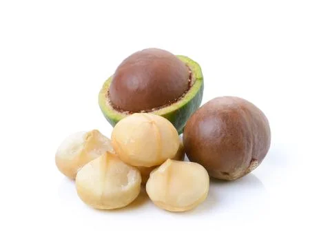 Macadamia nuts on white background Stock Photos