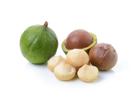 Macadamia nuts on white background Stock Photos