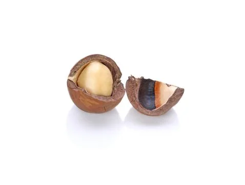 Macadamia nuts on white background Stock Photos