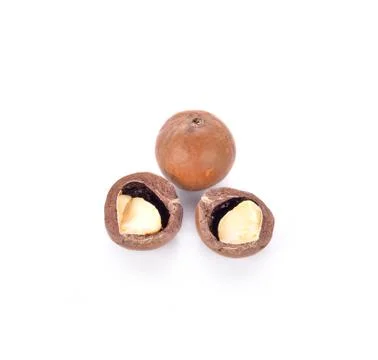 Macadamia nuts on white background Stock Photos