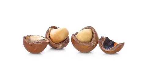 Macadamia nuts on white background Stock Photos