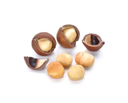 Macadamia nuts on white background Stock Photos
