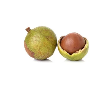 Macadamia nuts on white background Stock Photos