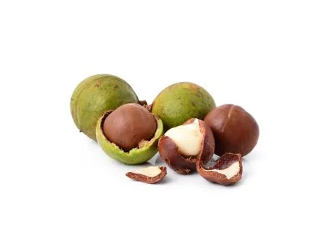 Macadamia nuts on white background Stock Photos