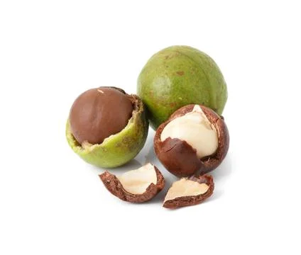 Macadamia nuts on white background Stock Photos