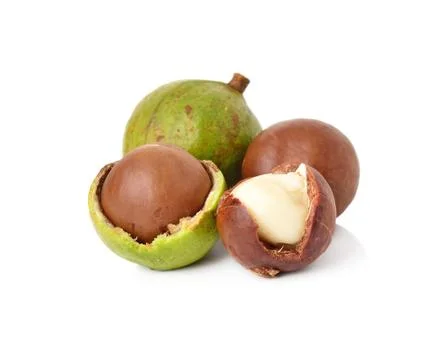 Macadamia nuts on white background Stock Photos