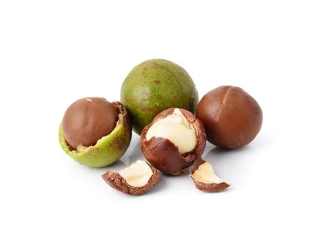 Macadamia nuts on white background Stock Photos