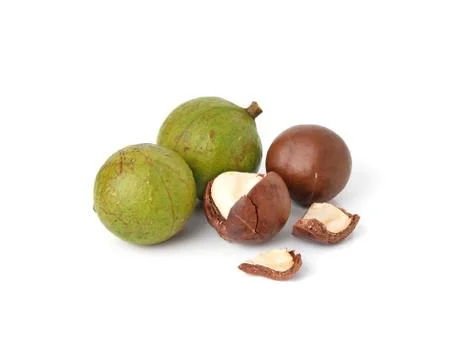 Macadamia nuts on white background Stock Photos
