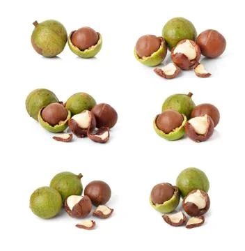 Macadamia nuts on white background Stock Photos