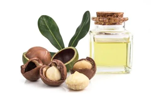 Macadamia nuts on white background 写真素材