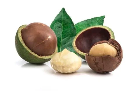 Macadamia nuts on white background Foto stock