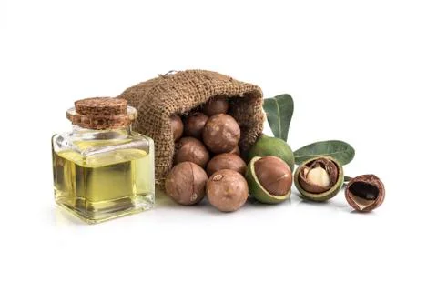 Macadamia nuts on white background 写真素材