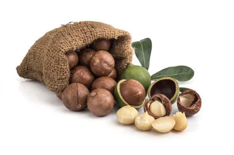 Macadamia nuts on white background Foto stock