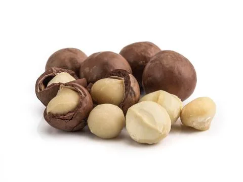 Macadamia nuts on white background Stock Photos