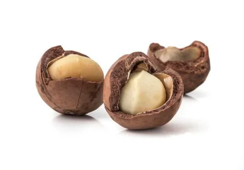 Macadamia nuts on white background 写真素材