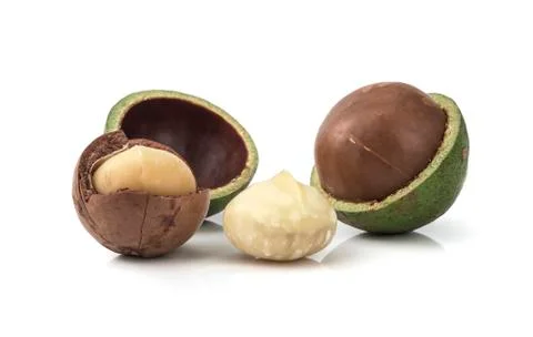 Macadamia nuts on white background 写真素材