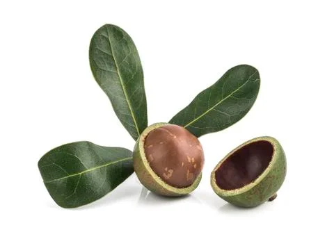 Macadamia nuts on white background Foto stock