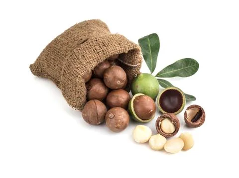 Macadamia nuts on white background Fotos de archivo