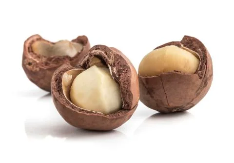 Macadamia nuts on white background Stockfoto's