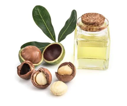 Macadamia nuts on white background Фото