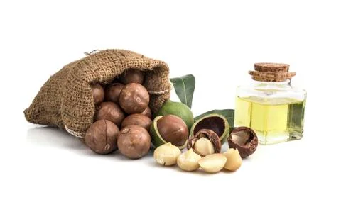 Macadamia nuts on white background 写真素材