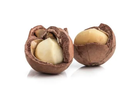 Macadamia nuts on white background Фото