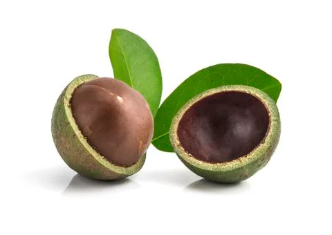 Macadamia nuts on white background Foto stock