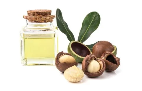 Macadamia nuts on white background Stock Photos