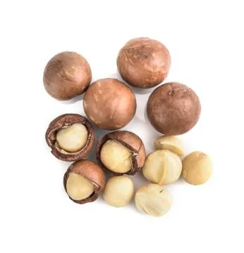 Macadamia nuts on white background 写真素材