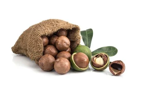 Macadamia nuts on white background 写真素材