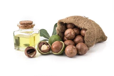 Macadamia nuts on white background 库存照片