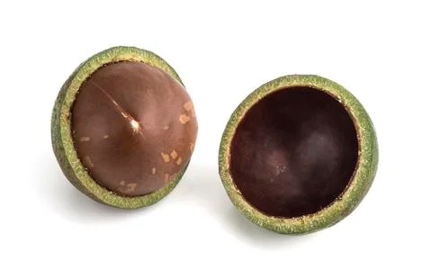 Macadamia nuts on white background Stockfoto's