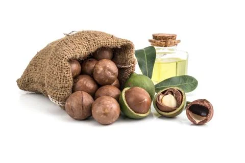 Macadamia nuts on white background Foto stock