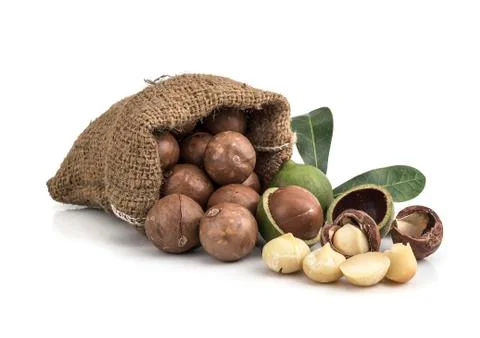 Macadamia nuts on white background Foto stock