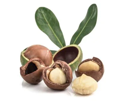 Macadamia nuts on white background Stock Photos