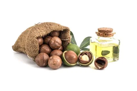 Macadamia nuts on white background Фото