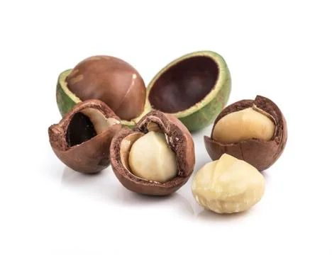 Macadamia nuts on white background 写真素材