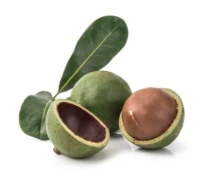 Macadamia nuts on white background Foto stock