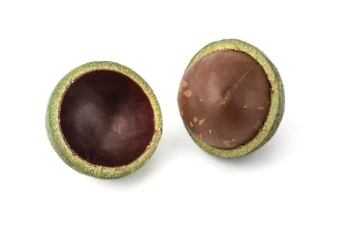 Macadamia nuts on white background 写真素材