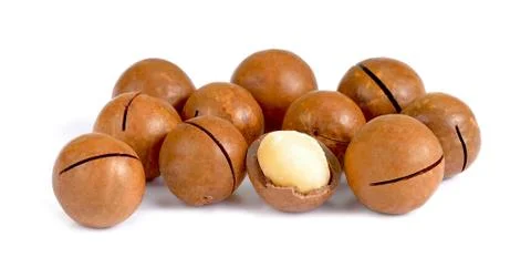 Macadamia nuts on white background Stock Photos