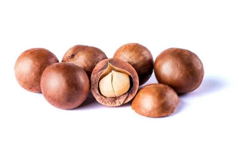 Macadamia nuts on a white background Stock Photos