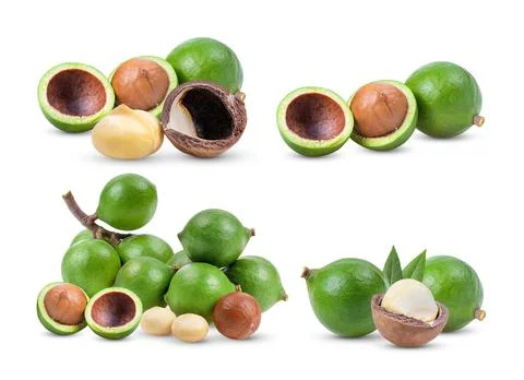 Macadamia nuts on white background Stock Photos