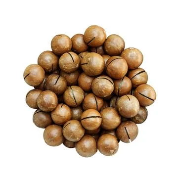 Macadamia nuts on a white background. Stock Photos