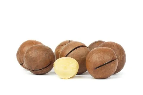 Macadamia nuts on white background Stock Photos