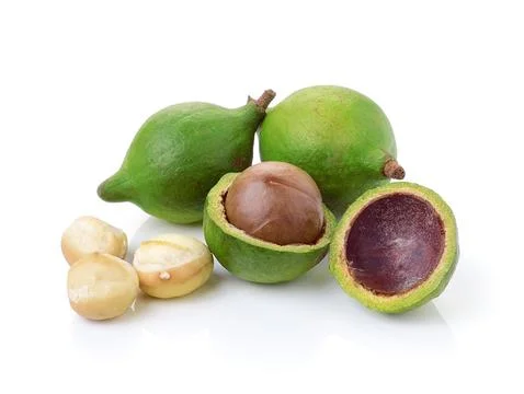Macadamia nuts on white background Stock Photos