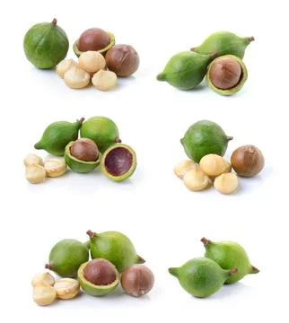 Macadamia nuts on white background Stock Photos