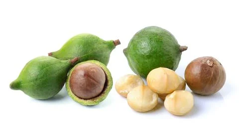 Macadamia nuts on white background Stock Photos