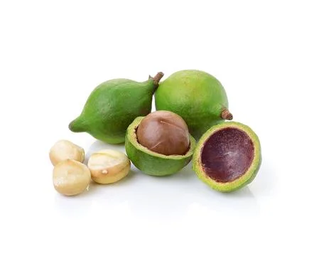 Macadamia nuts on white background Stock Photos