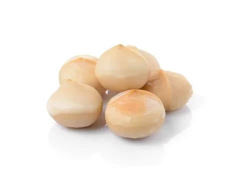 Macadamia nuts on white background Stock Photos
