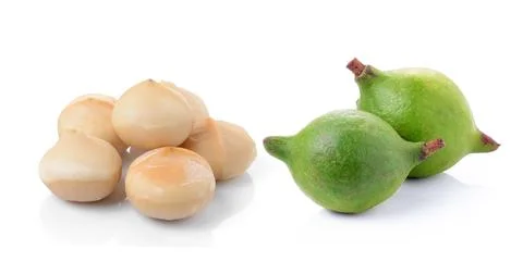 Macadamia nuts on white background Stock Photos